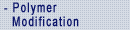 Polymer Modification